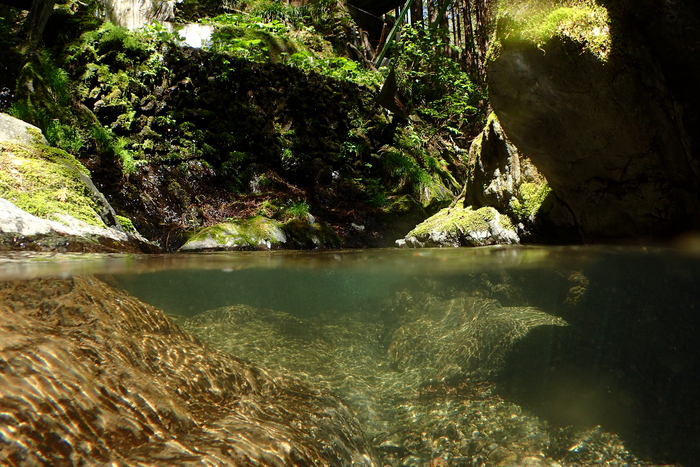 ｇｗ中盤 ジムニーで行く奥多摩林道キャンプday2 今日もどこかでスナフキン