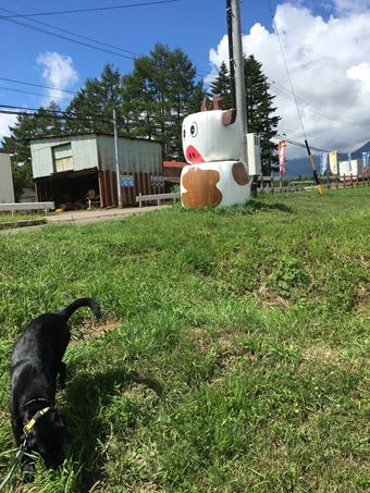 c0114121_1225892.jpg