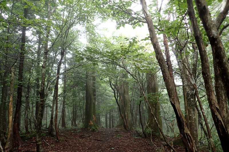 c0369423_16140855.jpg