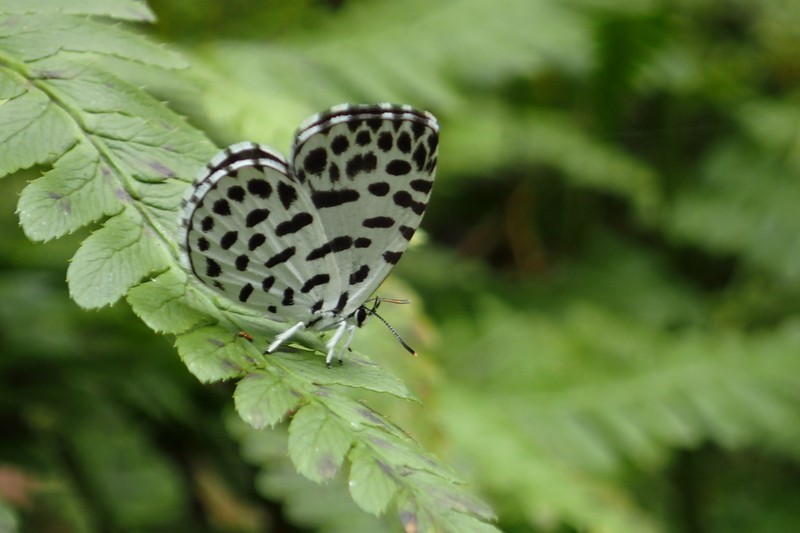 c0369423_16201226.jpg