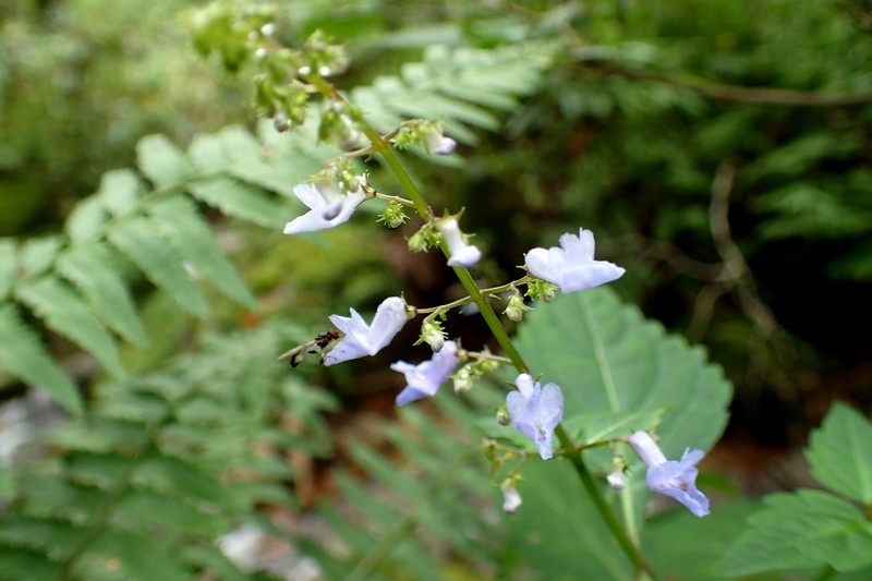c0369423_16201907.jpg