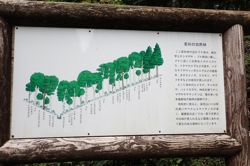 c0369423_16202203.jpg