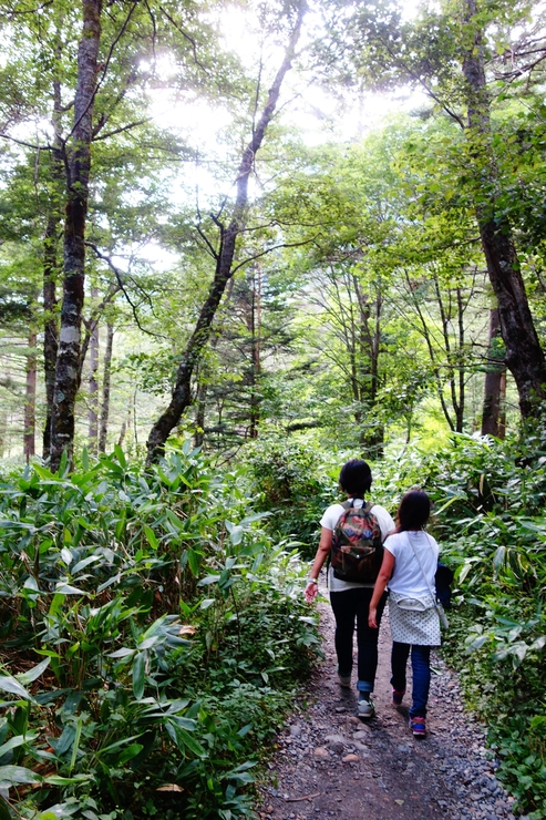 長野県に癒やされよう その8～今年の干支！2016年はさる年！_a0287336_237462.jpg