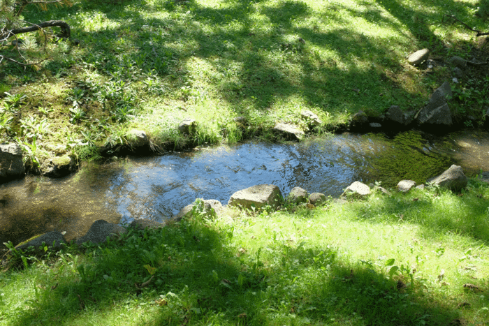 c0162846_15571013.gif