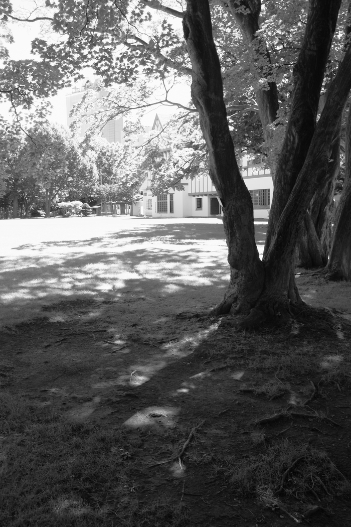 c0162846_16636.jpg
