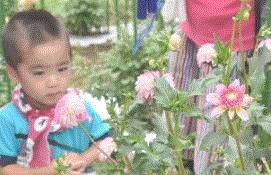 a0290852_23342287.gif