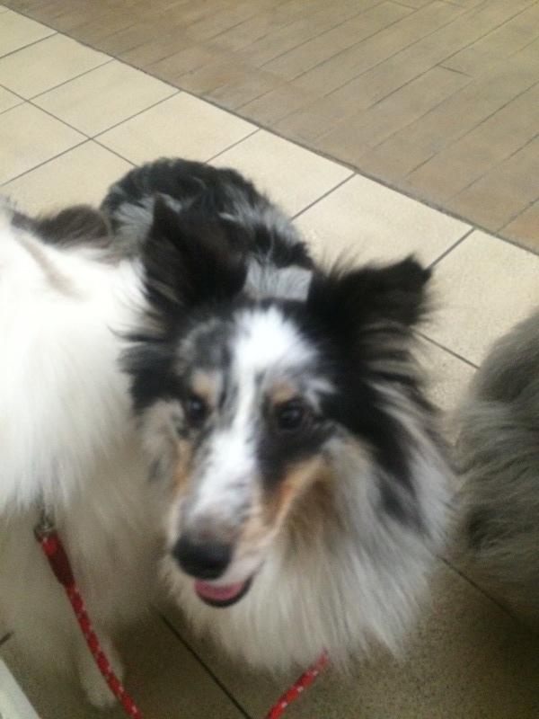 d0230653_00111654.jpeg