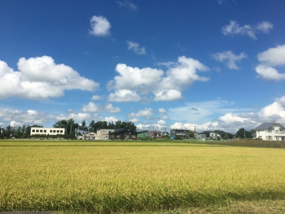 自然を見習って_a0356060_09303578.jpg