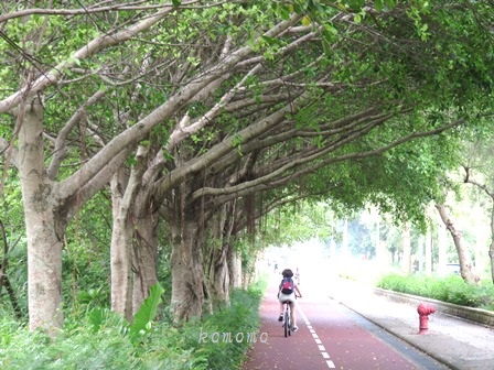 自転車で！ 大埔海濱公園から大美督へ①_c0135971_2043130.jpg