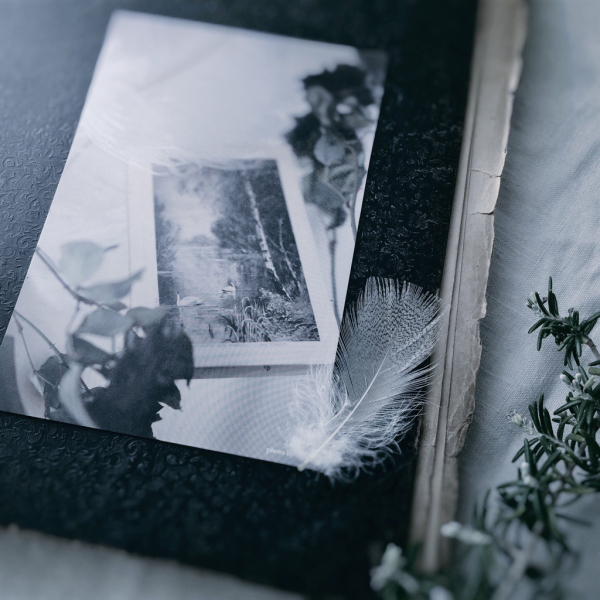 ~ Rêve de cygne ~ 白鳥に導かれて 展に参加いたします。_c0187782_15223456.jpg