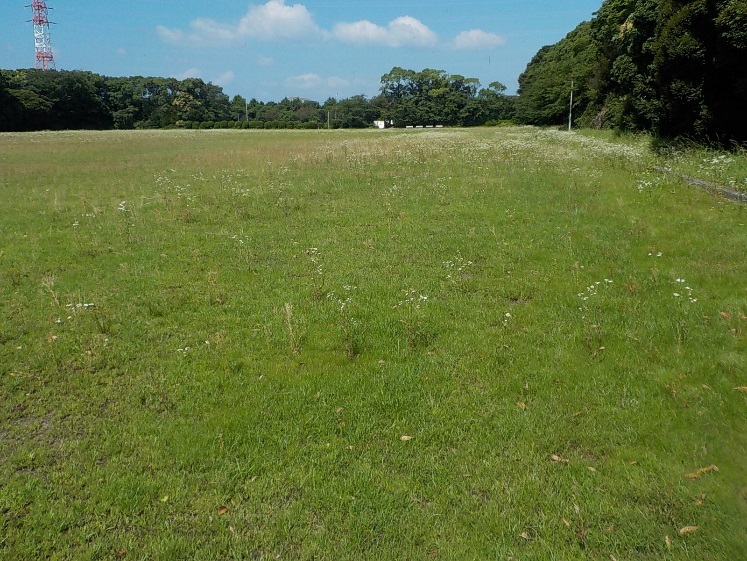 d0338682_11135986.jpg