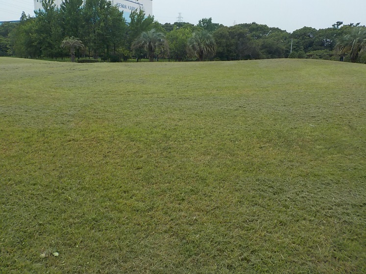 d0338682_11152673.jpg