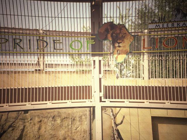 東武の動物公園へ。。。。。_b0210688_19334824.jpg