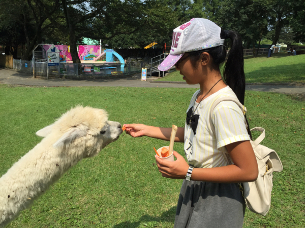 小学生さいごの夏休み終わる♪_a0216711_11380897.jpg