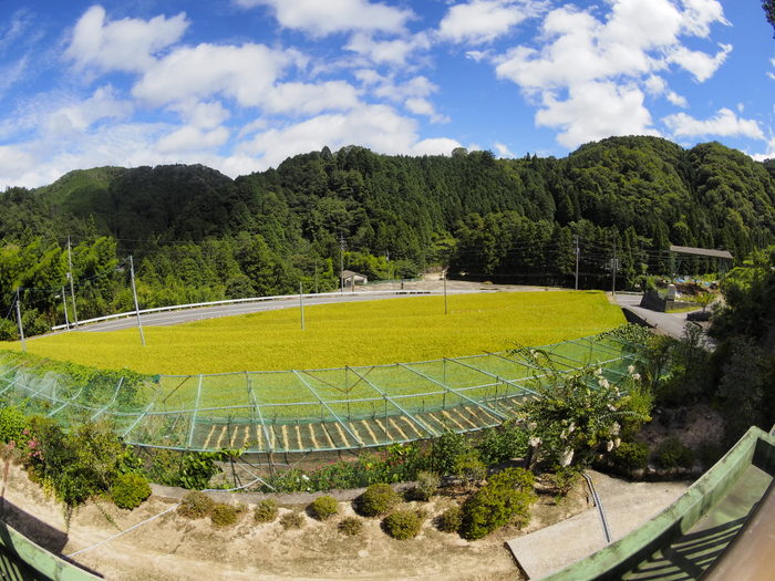 今日も晴れた_c0116915_15265033.jpg