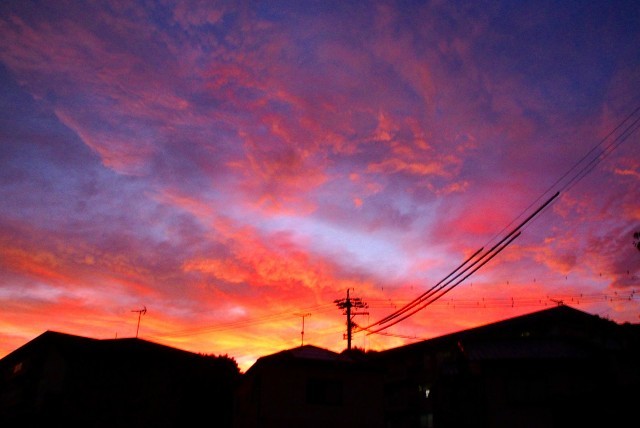 a0087818_09074705.jpg