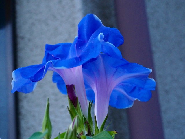 a0087818_09080244.jpg