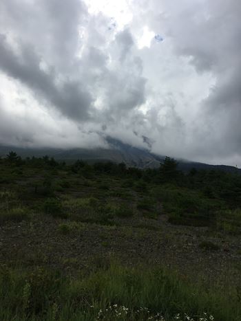 c0114121_053660.jpg
