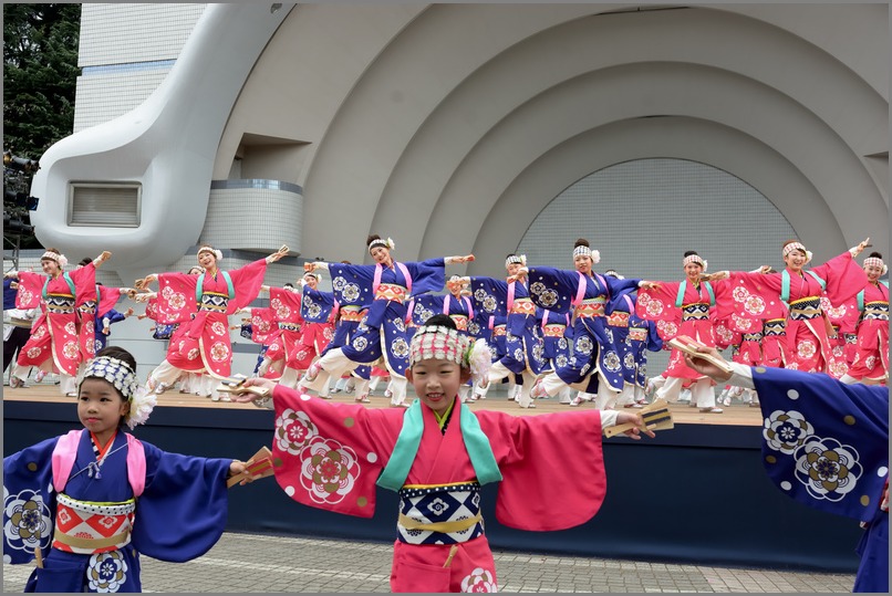 原宿表参道元気祭スーパーよさこい2016　「ほにや」　（敬称略）　高知県_c0276323_21221864.jpg