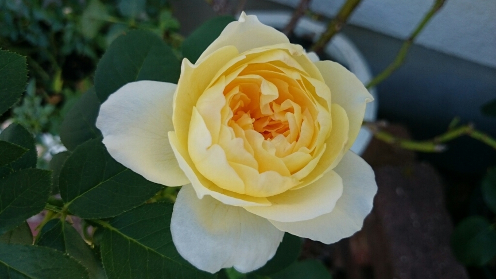 e0263224_00300848.jpg