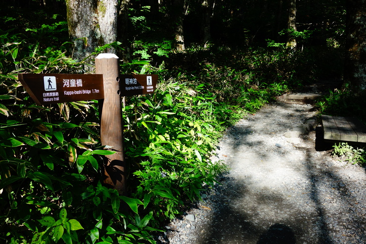 長野県に癒やされよう その8～今年の干支！2016年はさる年！_a0287336_0124052.jpg