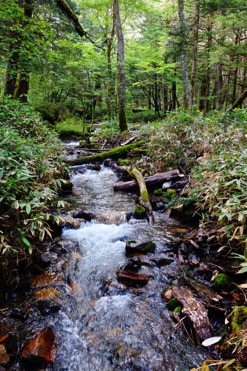 a0287336_06290.jpg