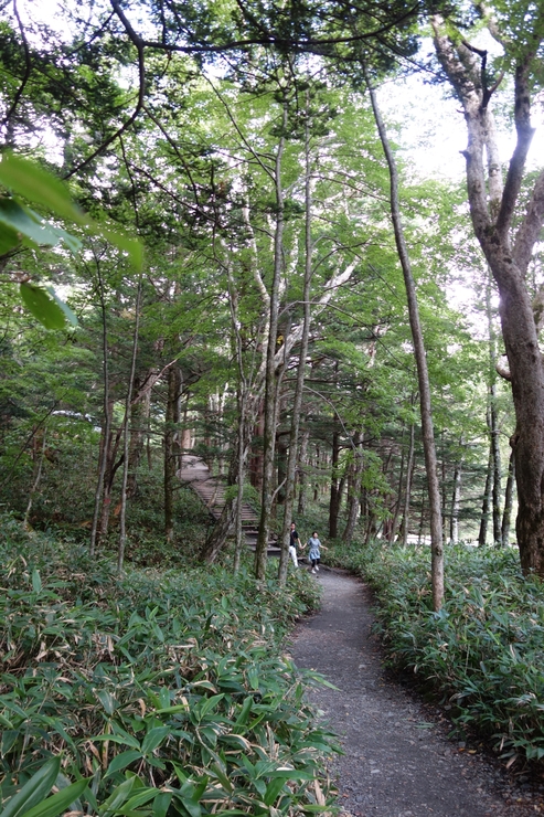 長野県に癒やされよう その8～今年の干支！2016年はさる年！_a0287336_1114045.jpg