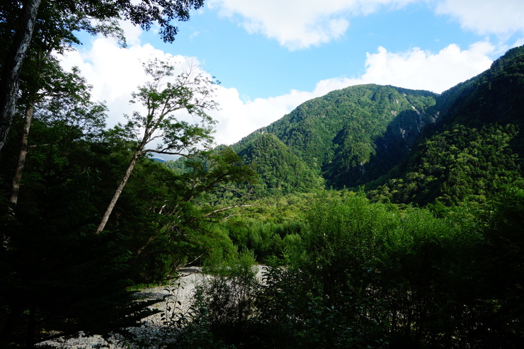 長野県に癒やされよう その8～今年の干支！2016年はさる年！_a0287336_1781.jpg