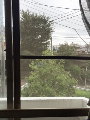 d0178136_14232156.jpeg