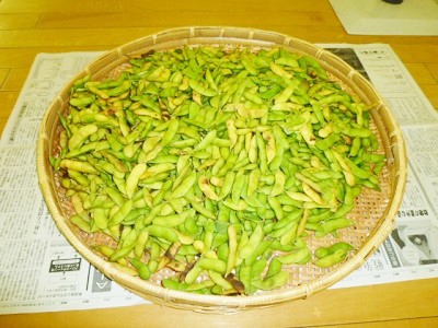 枝豆収穫祭_b0199838_15495923.jpg