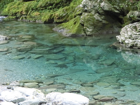 夏休み!_e0277143_10234451.jpg