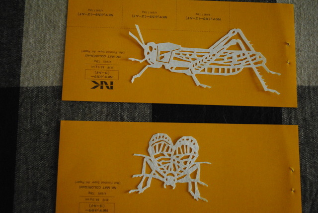 鈴虫とバッタ_d0101846_08531597.jpg