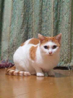 e0080346_1825484.png