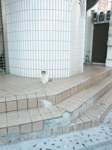 a0061947_84333.jpg