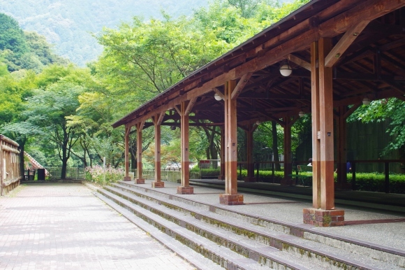 a0299749_22000417.jpg