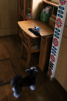 c0145250_09435656.gif