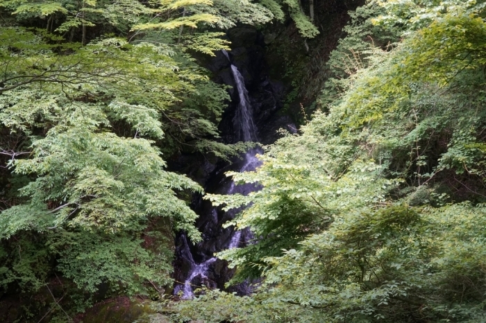 思いが育てた登山道＠篠井山　2016.06.10(金)_f0344554_22464425.jpg