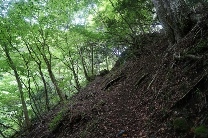 思いが育てた登山道＠篠井山　2016.06.10(金)_f0344554_22464470.jpg