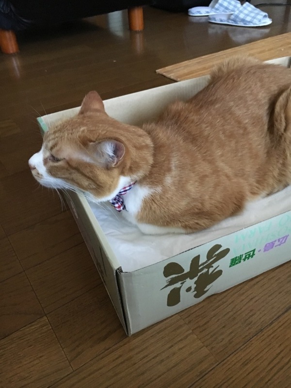 f0363168_16425843.jpeg