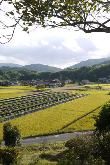 裏山から見える風景　〜８月の終わり〜_c0334574_19085588.jpg