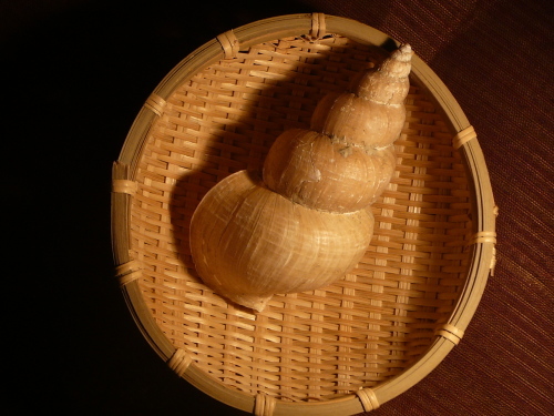 f0371674_13170250.jpg