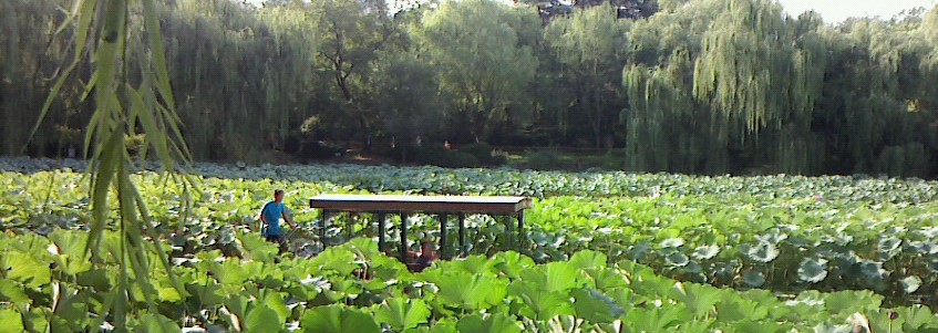 f0007580_23545558.jpg