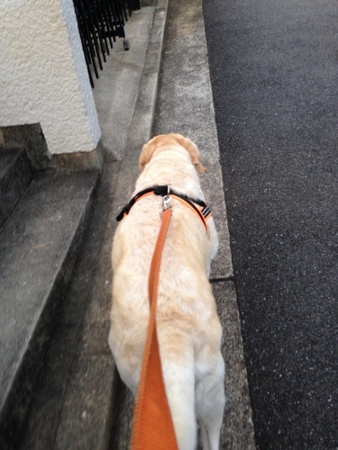 f0315081_22345936.jpeg