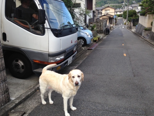 f0315081_22433256.jpeg