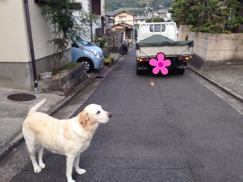 f0315081_22473456.jpeg