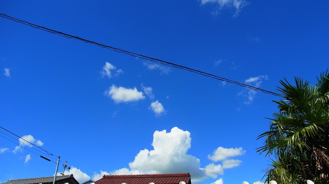 f0346184_17514312.jpg
