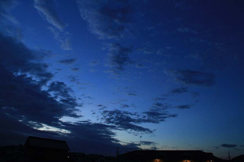 c0177785_733050.jpg