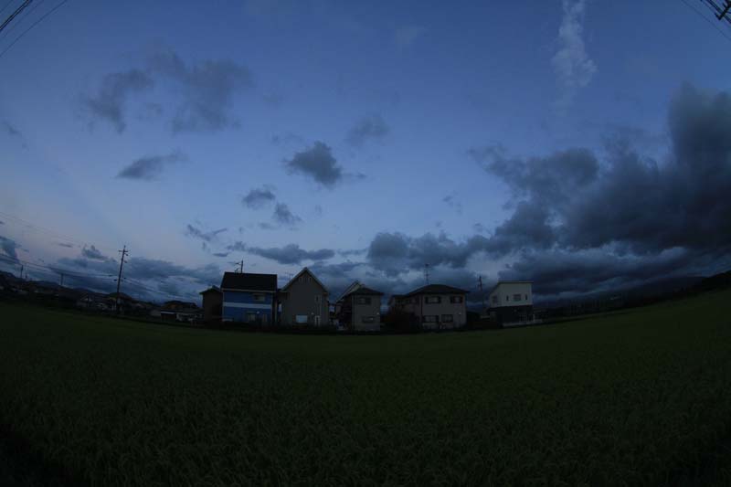 c0177785_76432.jpg