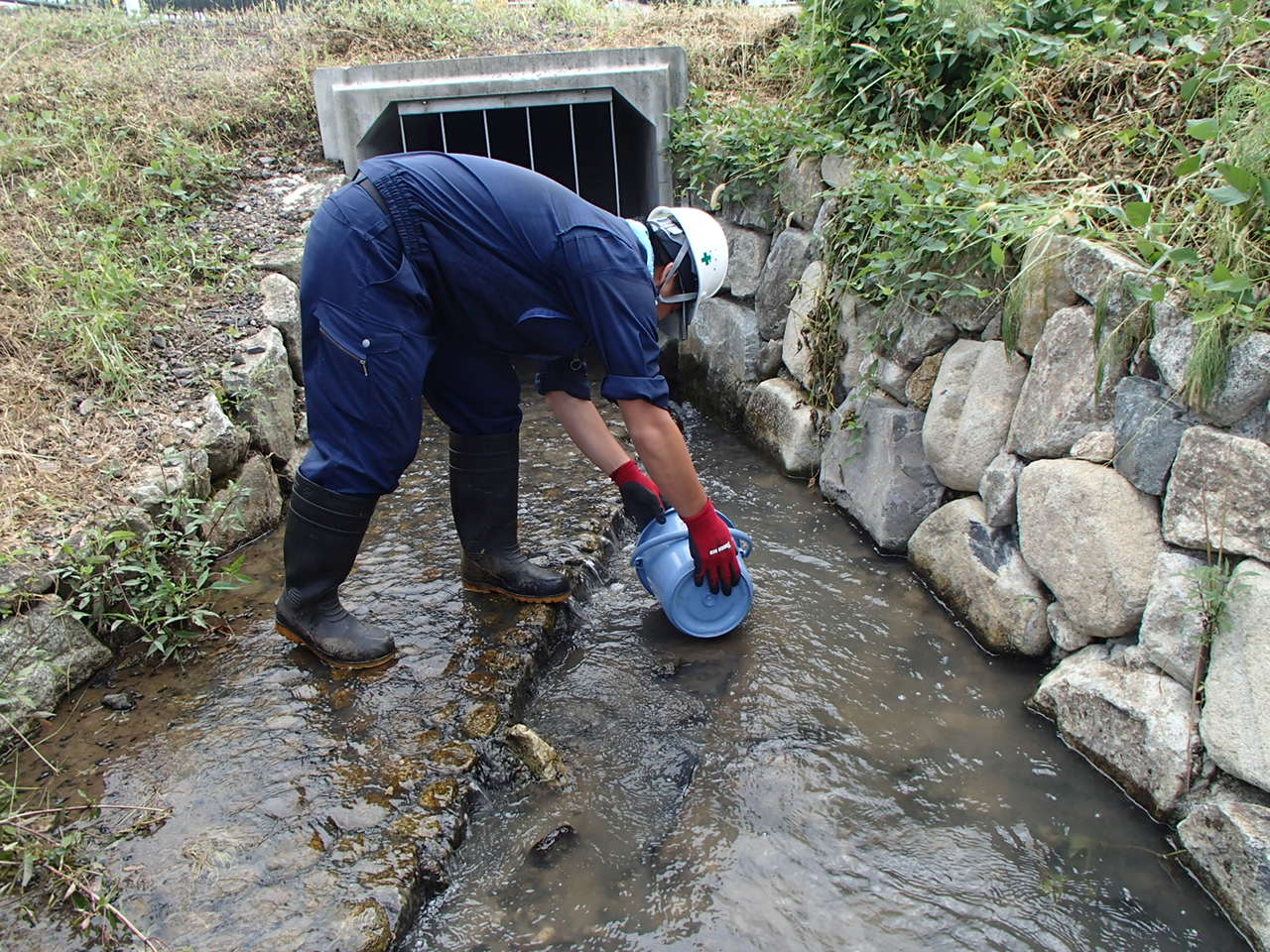 生物調査_e0243485_9341798.jpg