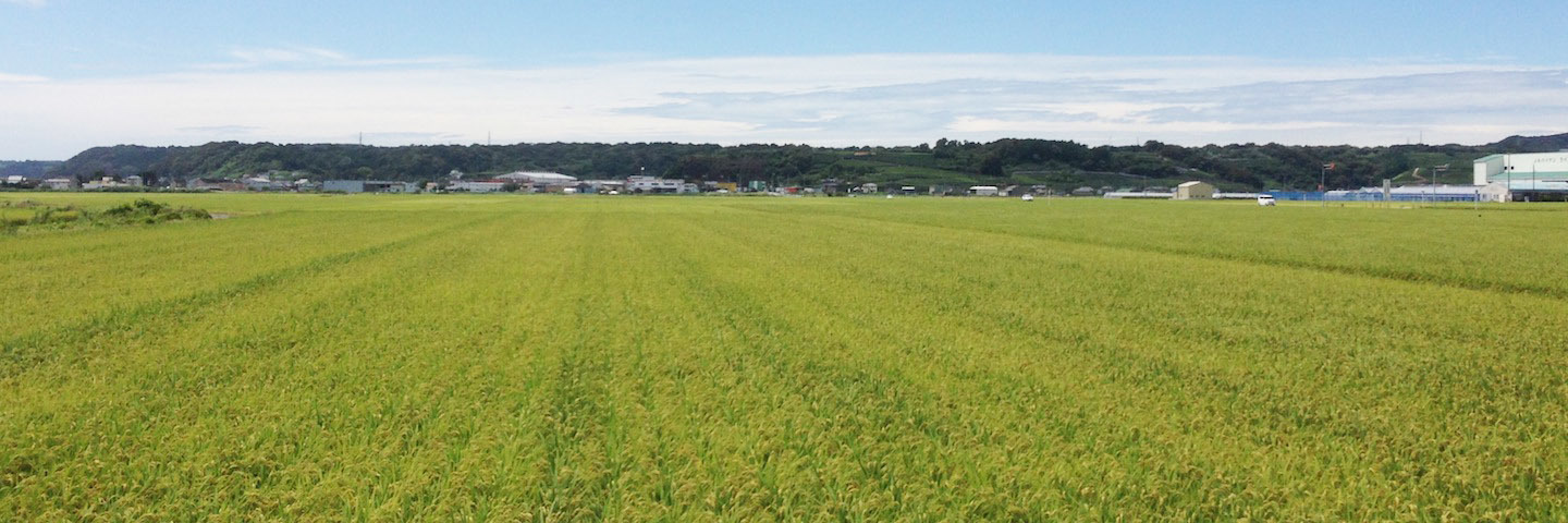 c0170789_11214383.jpg